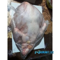 Курица свежая 1кг.